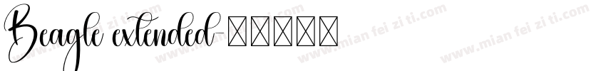 Beagle extended字体转换